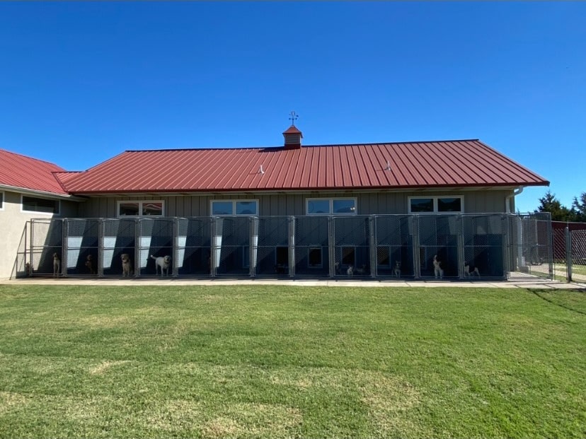 Pet Boarding Gainesville TX Reigning Cats and Dogs