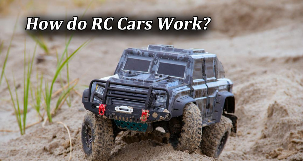 How Do RC Cars Work? RC Fact