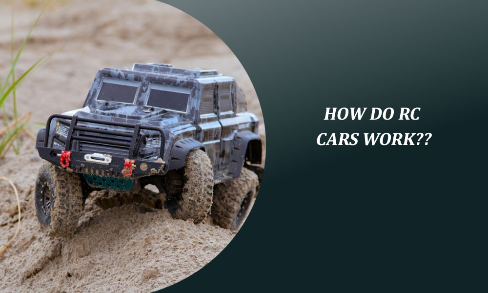 How Do RC Cars Work? RC Fact