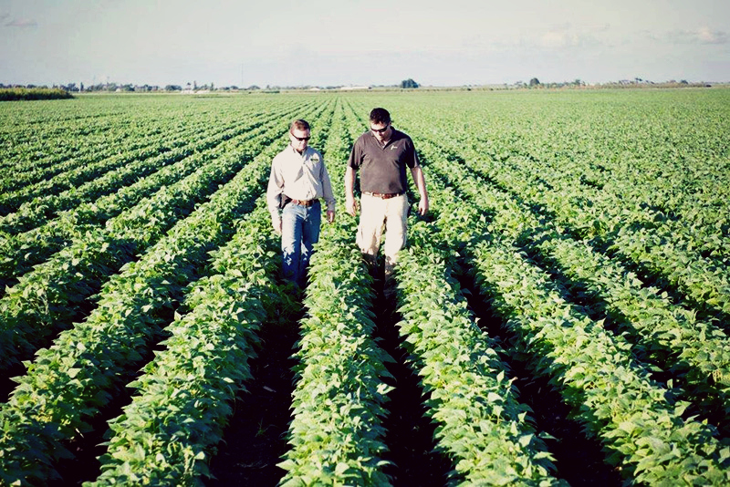 JA & P R.C. HATTON FARMS