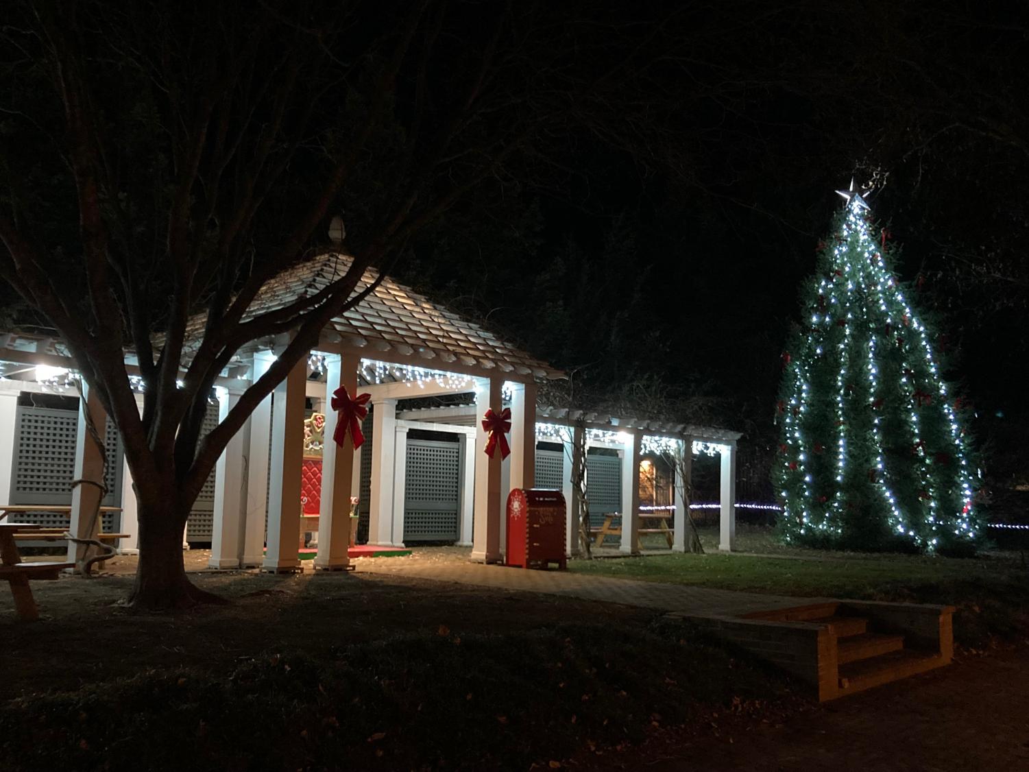 A Guide For Your Rockbridge County Holiday Event Needs THE PROWLER