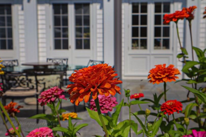 Red Cedar Landscapes, Inc. Wappingers Falls , NY Photo Gallery