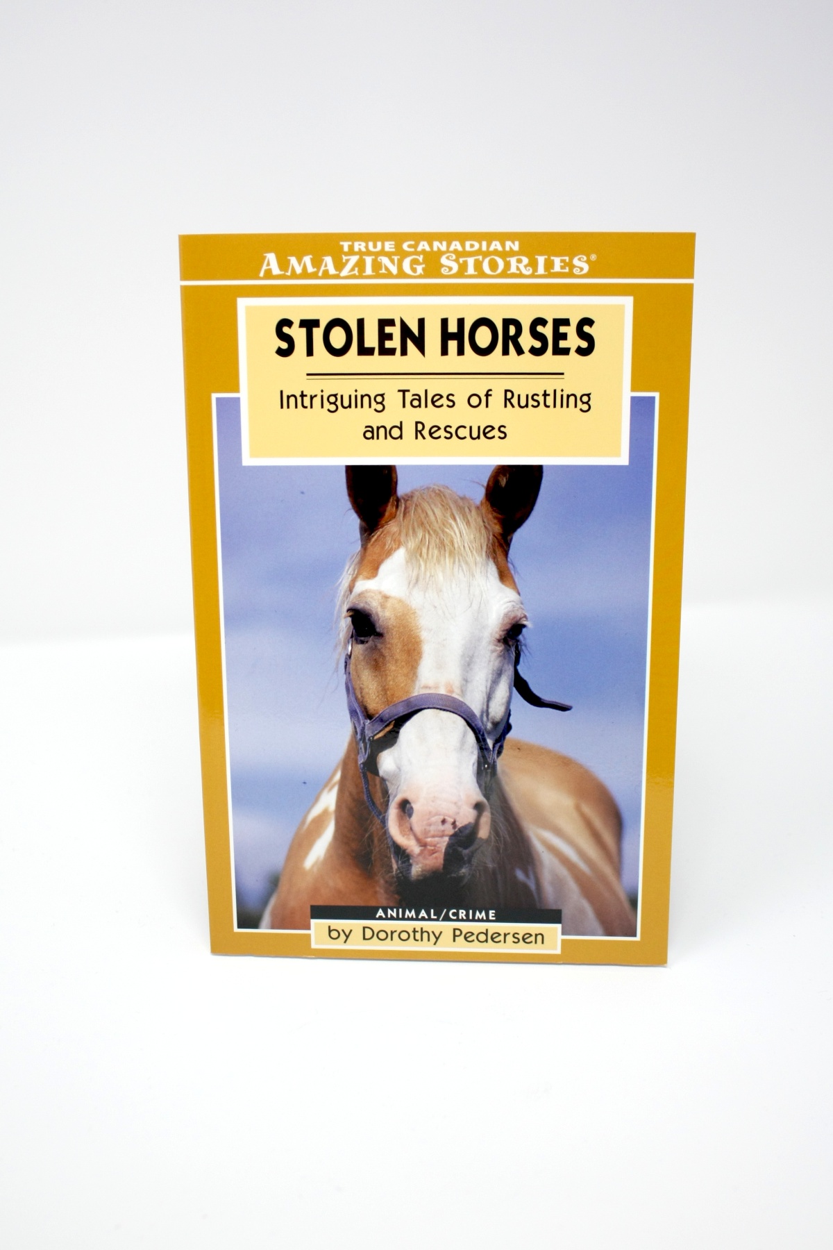 RCMP Heritage Centre Stolen Horses Intriguing Tales of Rustling and