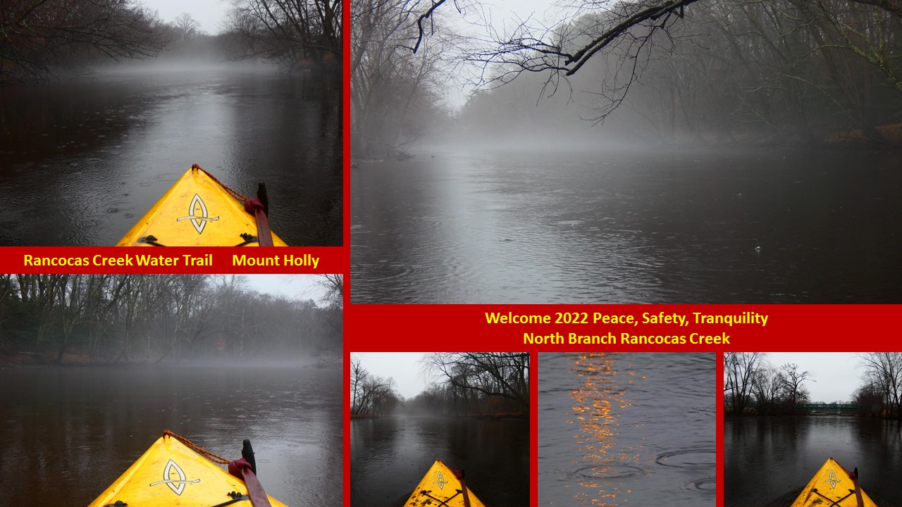 New Years Day beauty way to spend the first day of 2022. paddle on down