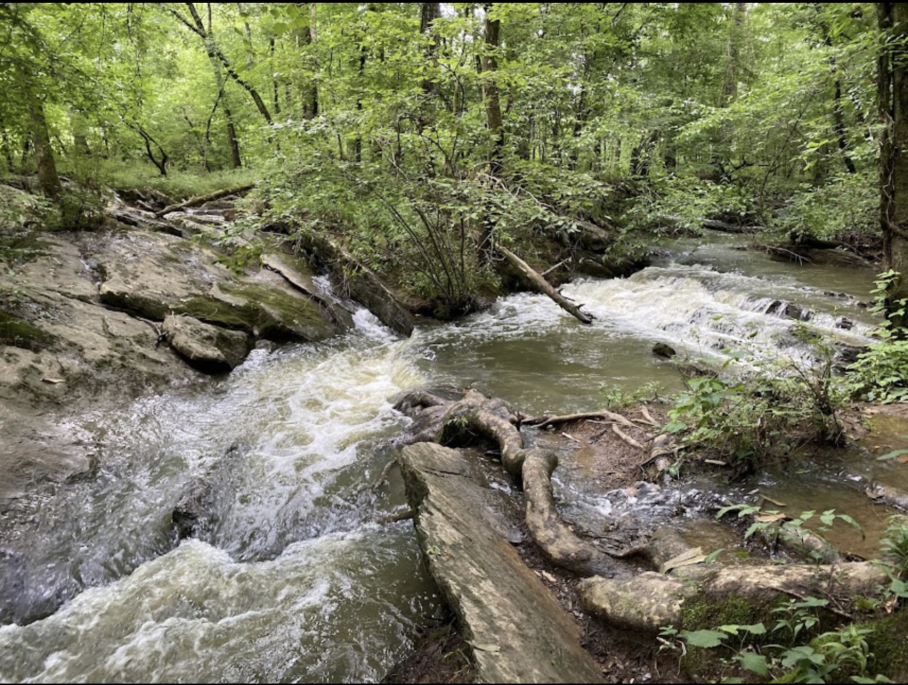 RC Rock Crawling in Calhoun Rock Garden