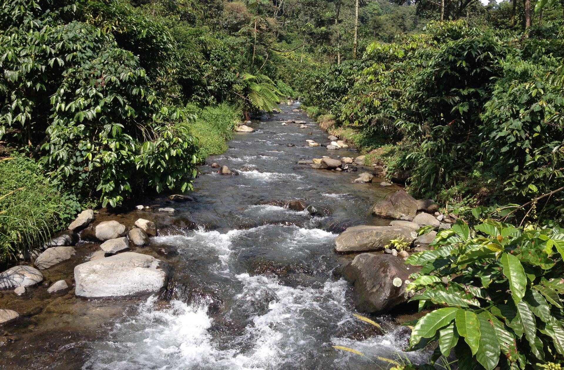 Variety, cultivar, landrace, heirloom Definitions » 🌱 RD2 Vision