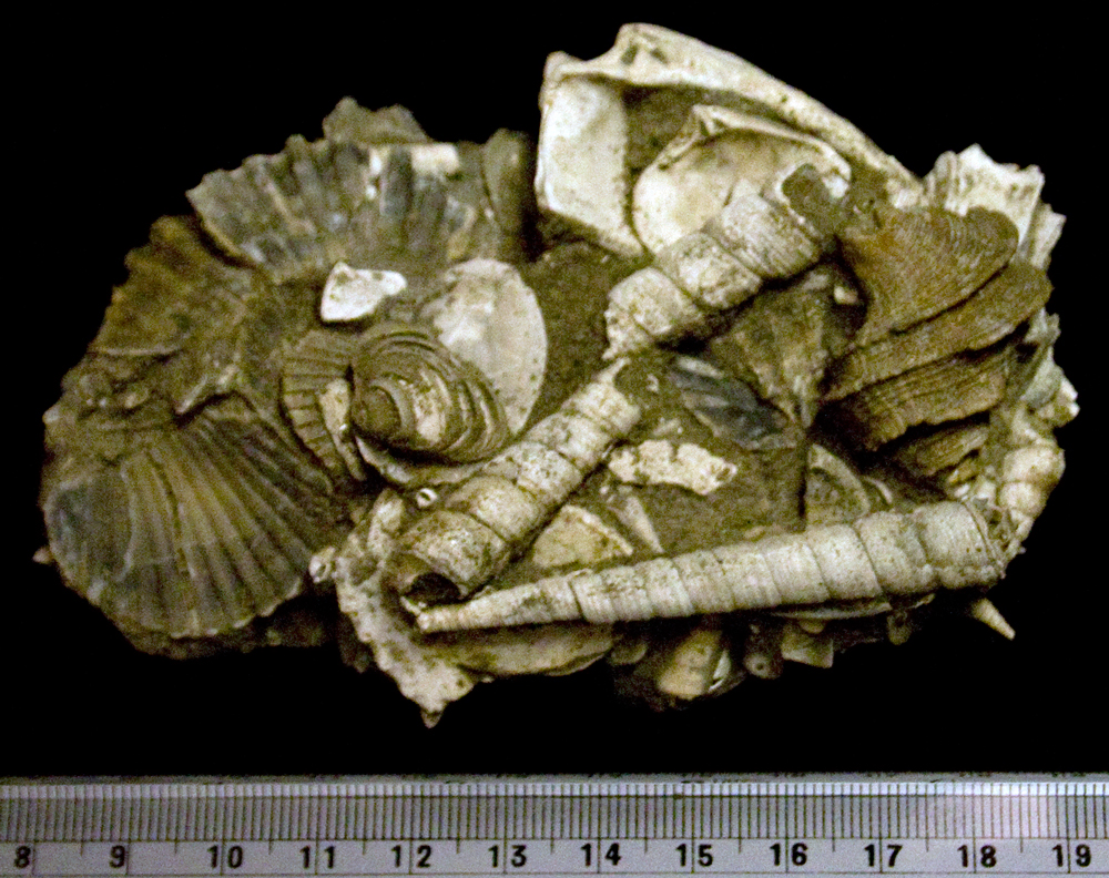 Plum Point, Maryland