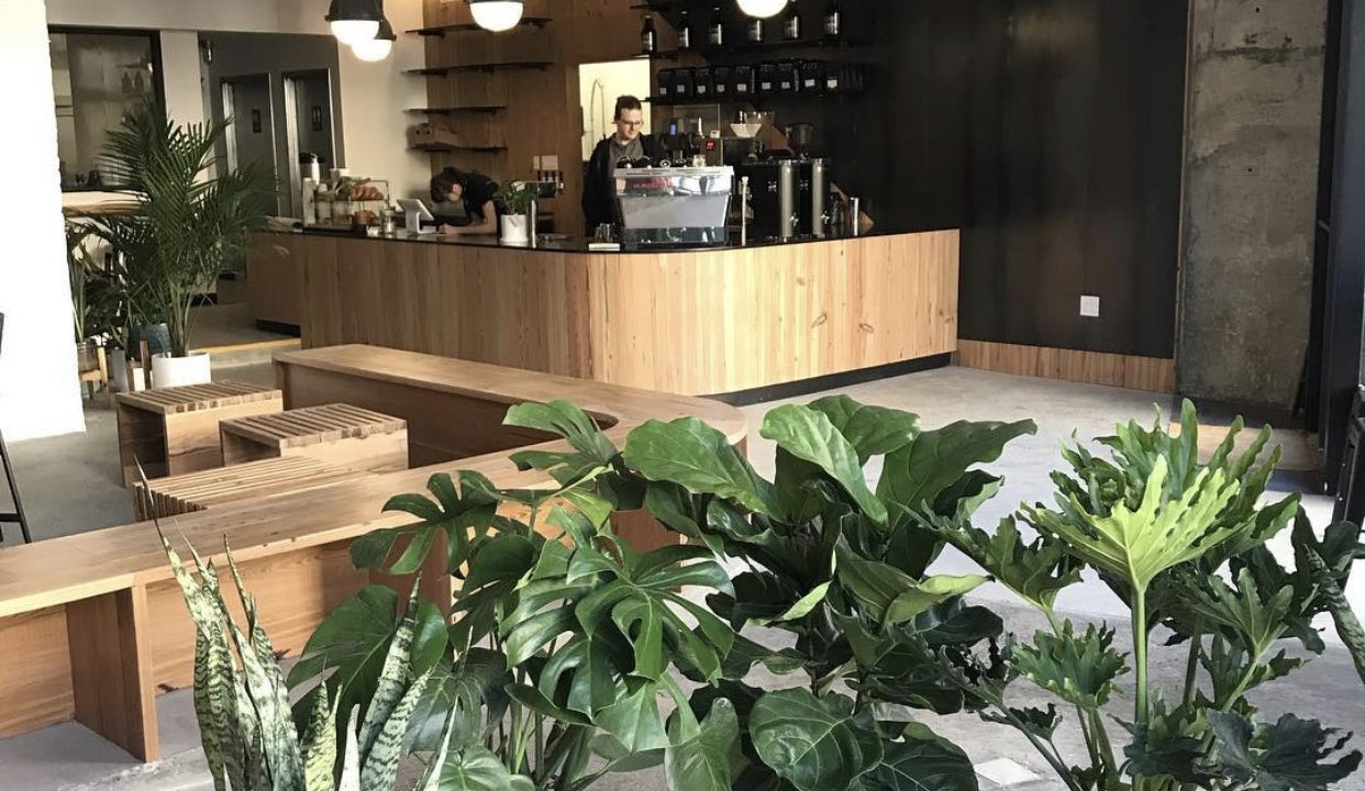 Plowshares Coffee Roasters West Harlem