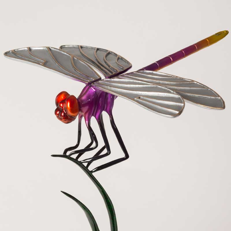 Dragonfly Bronze Sculpture Aerial Acrobat Wildlife Bronze