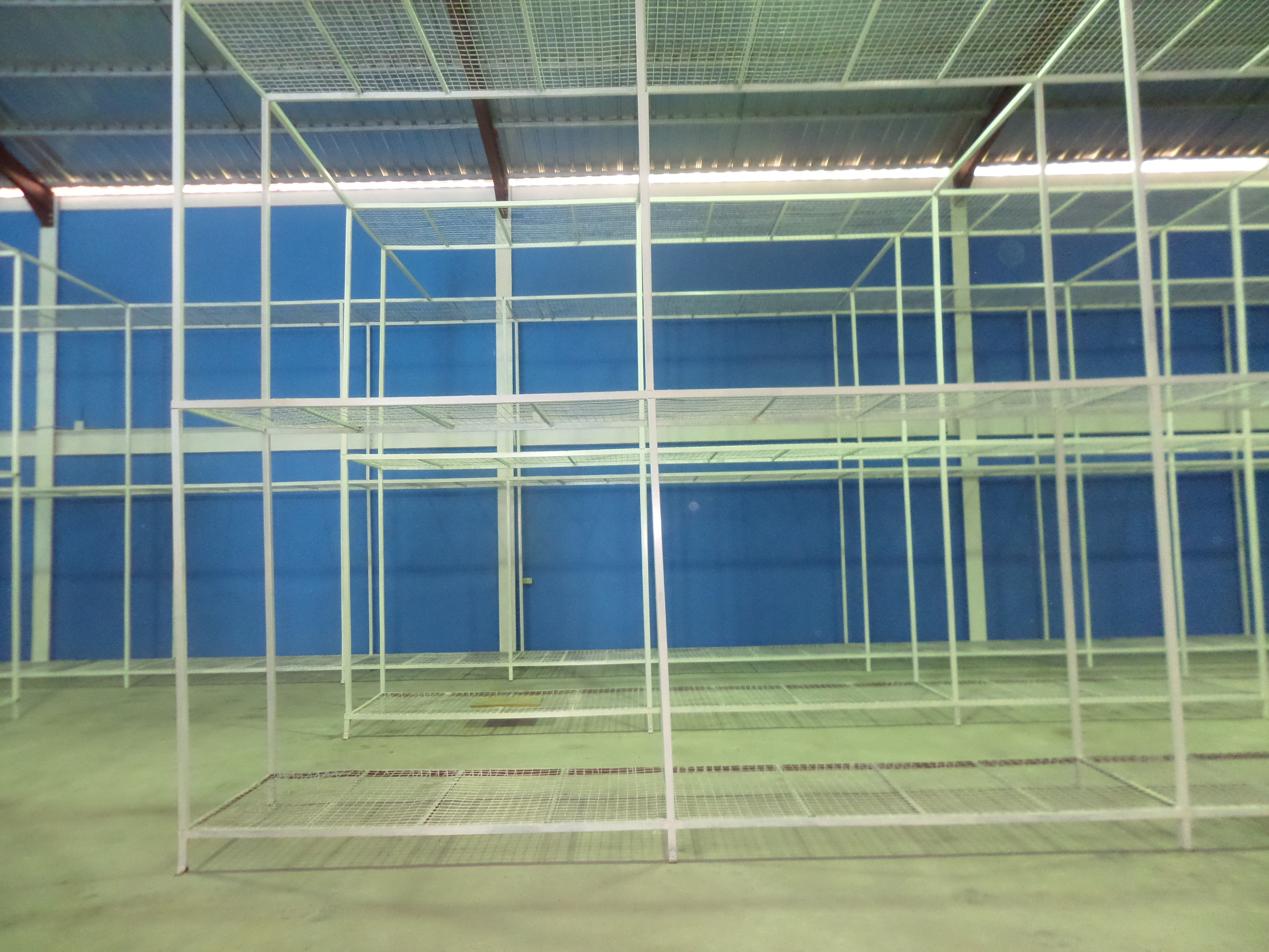 RD Global M&D RD Group Limited