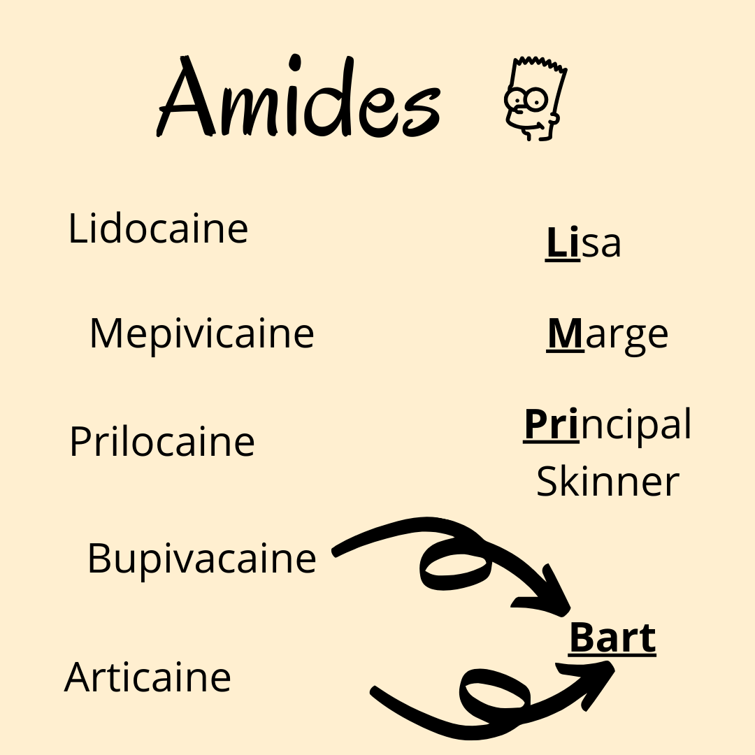 Local Anesthetics, Amides vs Esters