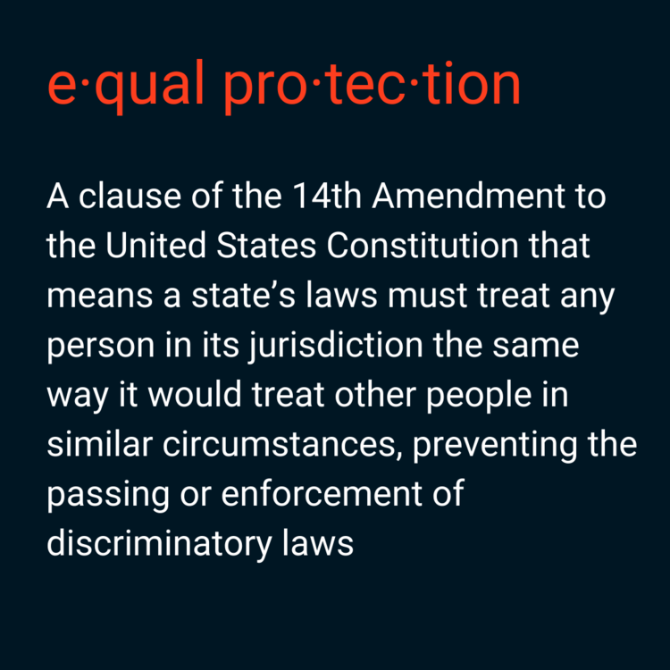 Defining Democracy Equal Protection Renew Democracy Initiative