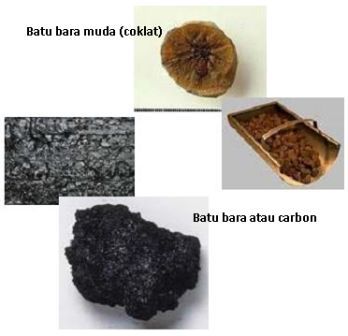 Batu Bara | Tempat Berbagi Ilmu