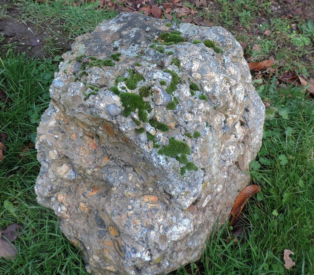 Geology at Nettlebed 4 December 2021 Reading & District Natural
