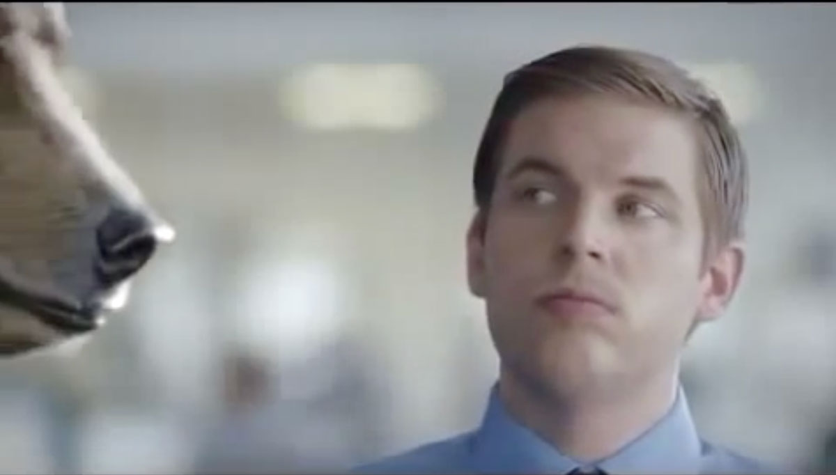 World’s Greatest Animal Commercials ROBERT DALRYMPLE PRODUCTIONS