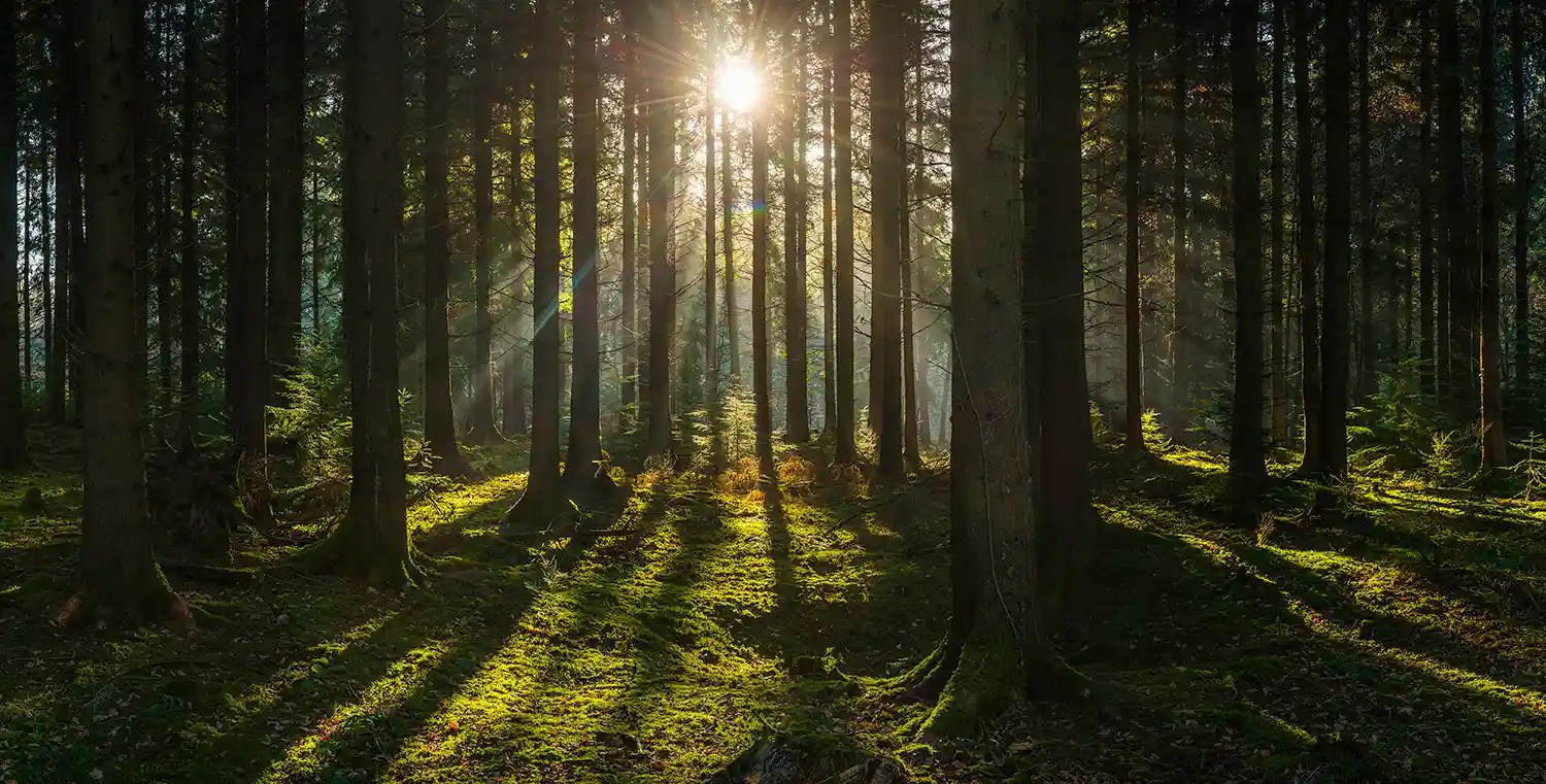 Real Estate Solicitors Commercial Property Law Newport