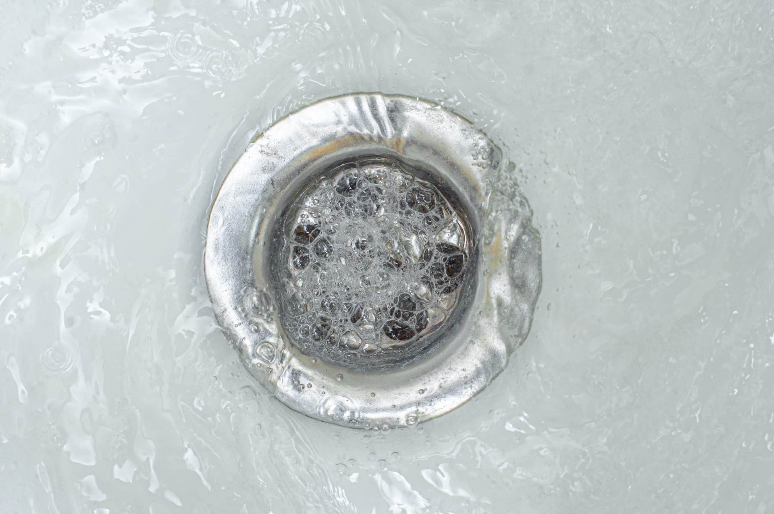 Why Does My Drain Smell? Blog Rapid Drainage