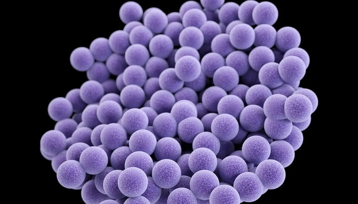 USA Today Article Combating Staph Infections RD UVC