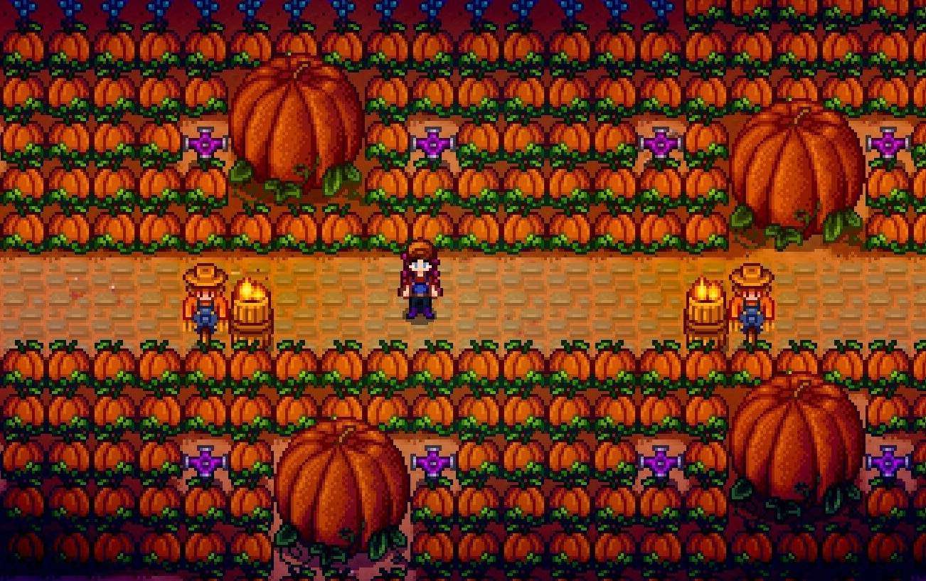 Stardew Valley Qi's Crop How to Plant Qi Beans (After The Challenge Ends) Reactor