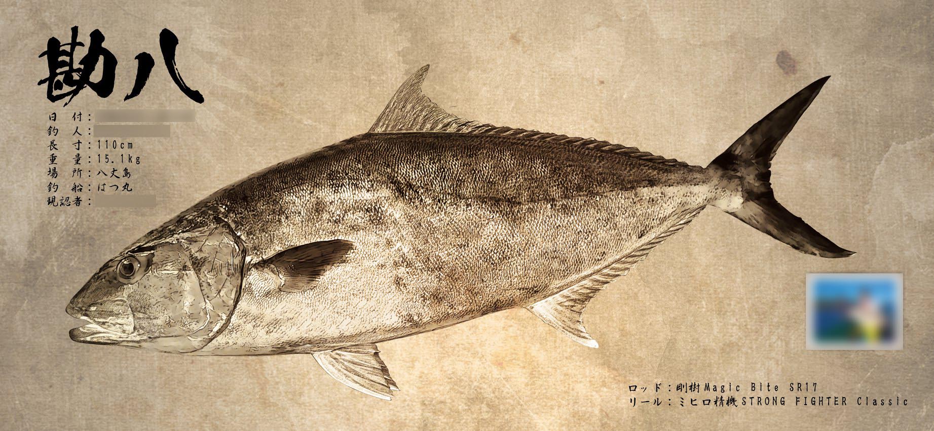八丈島で釣りあげられたカンパチのデジタル魚拓 | Re:Fish デジタル