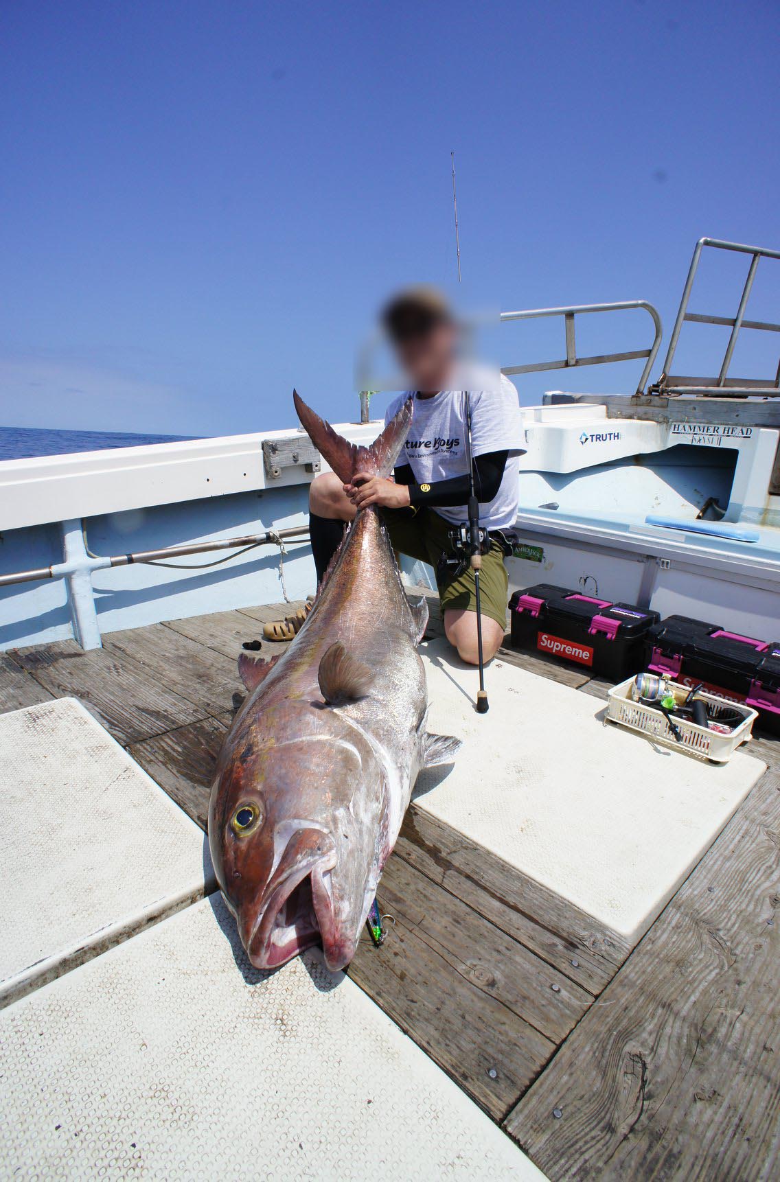 種子島で釣り上げられた巨大カンパチのデジタル魚拓！ | Re:Fish