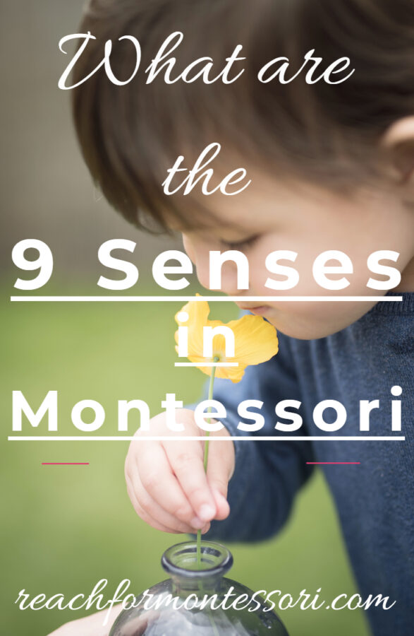 What are the 9 Senses in Montessori? — The MontessoriMinded Mom