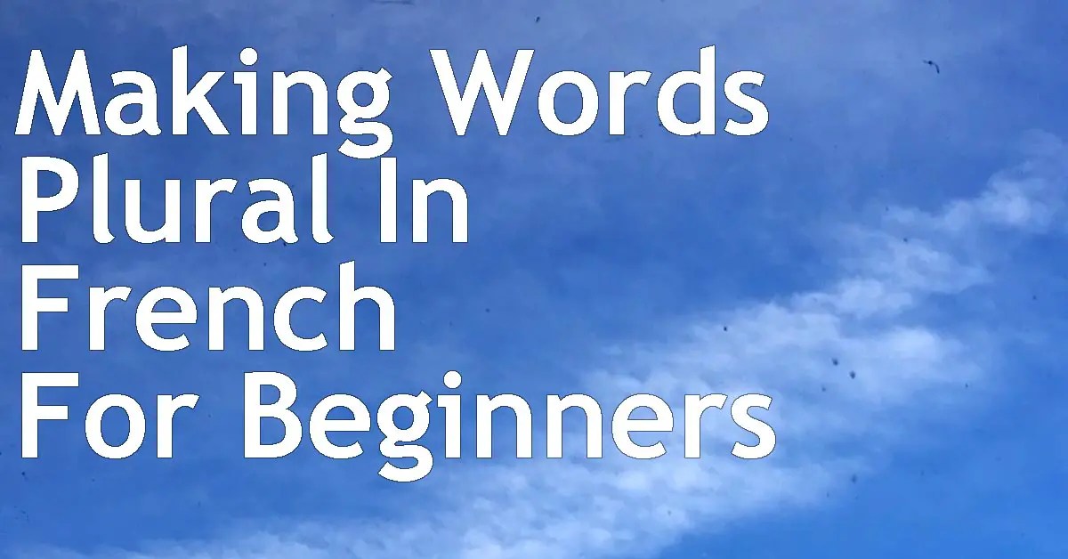 Making Words Plural In French For Beginners Reaching Fluency