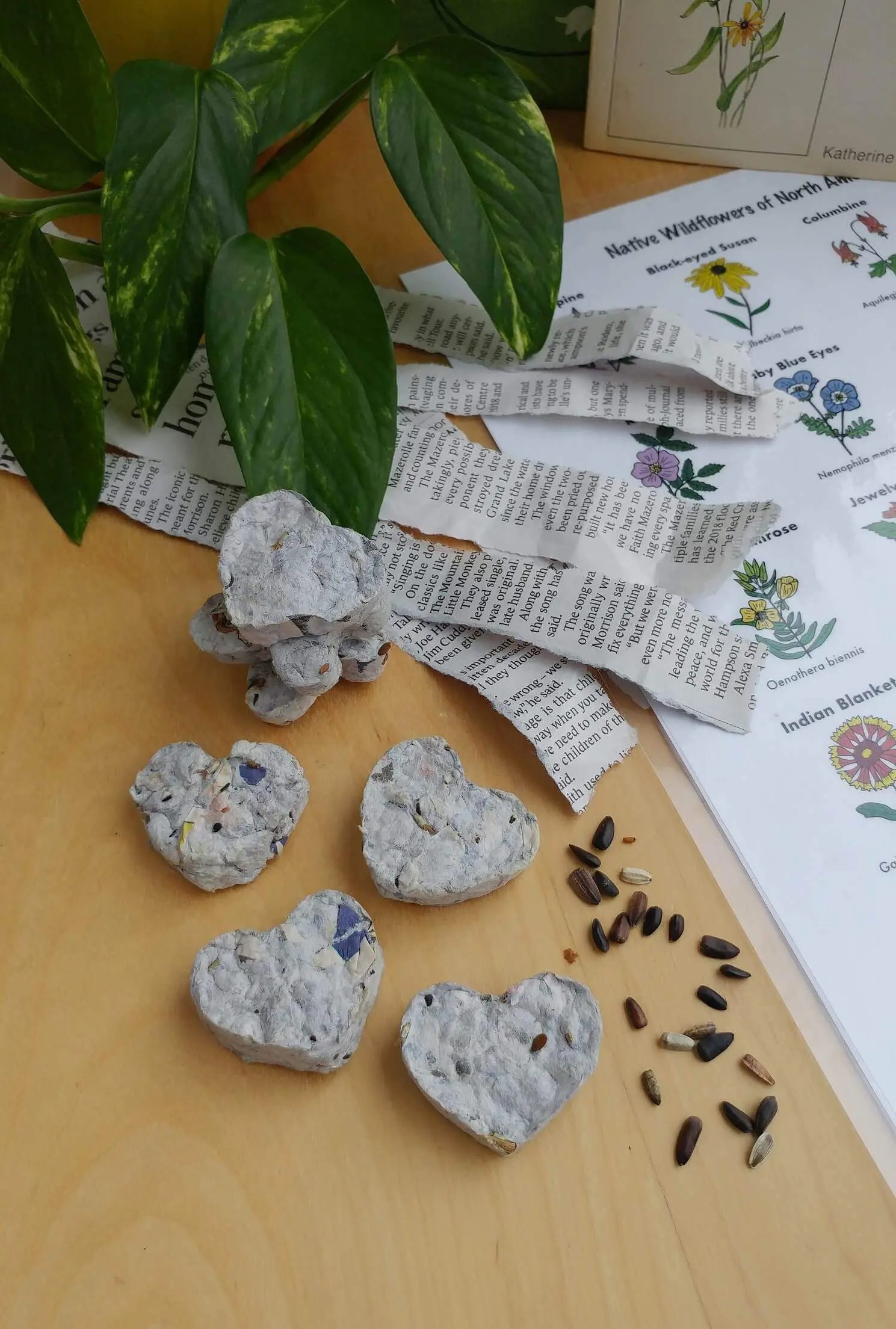 Easy Wildflower Seed Bomb Tutorial Reaching Happy