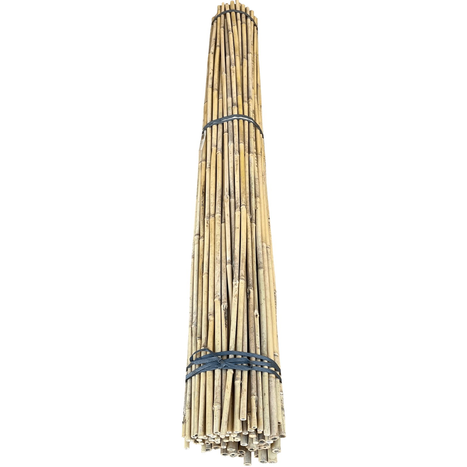 6ft Bamboo Stakes