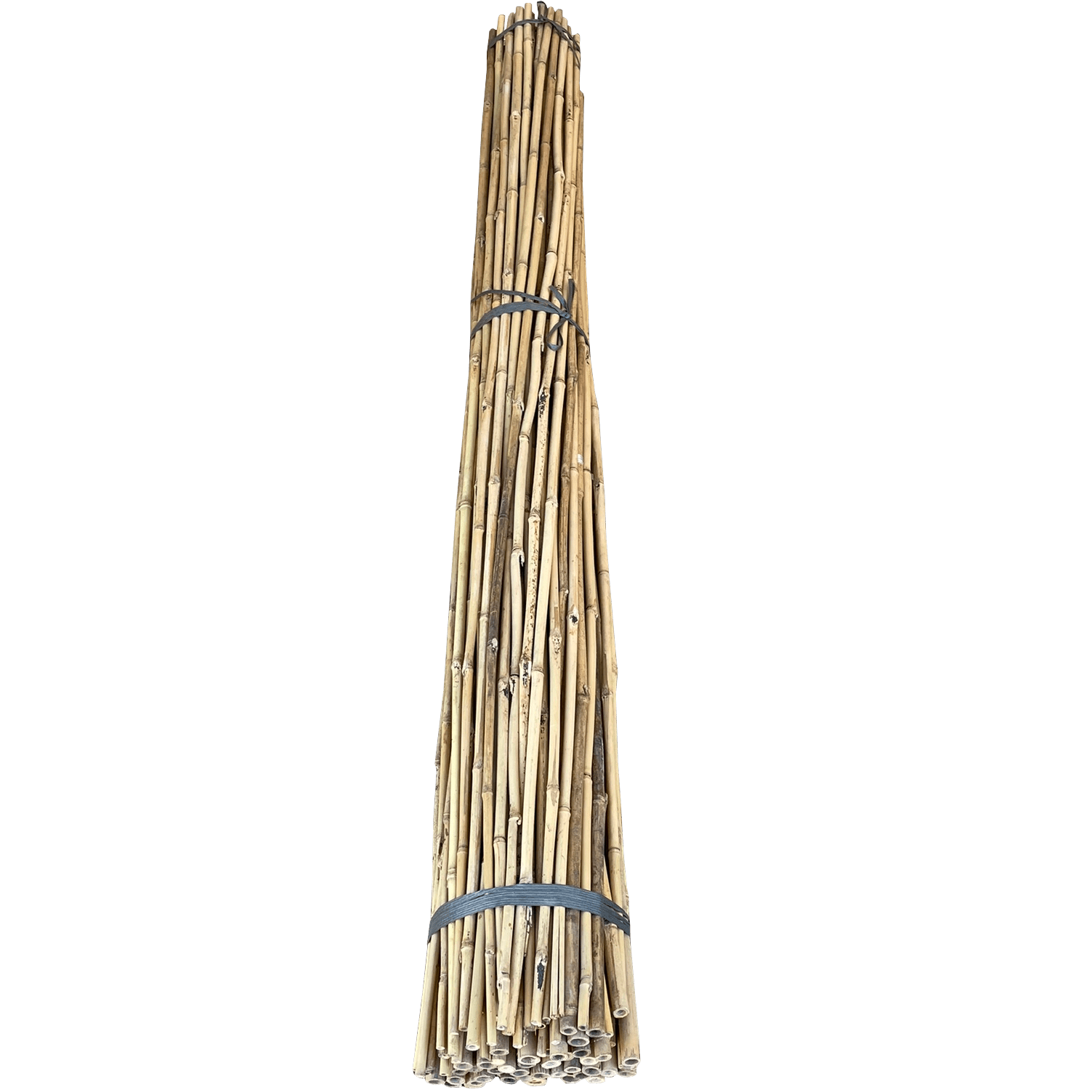 7′ Bamboo Stakes
