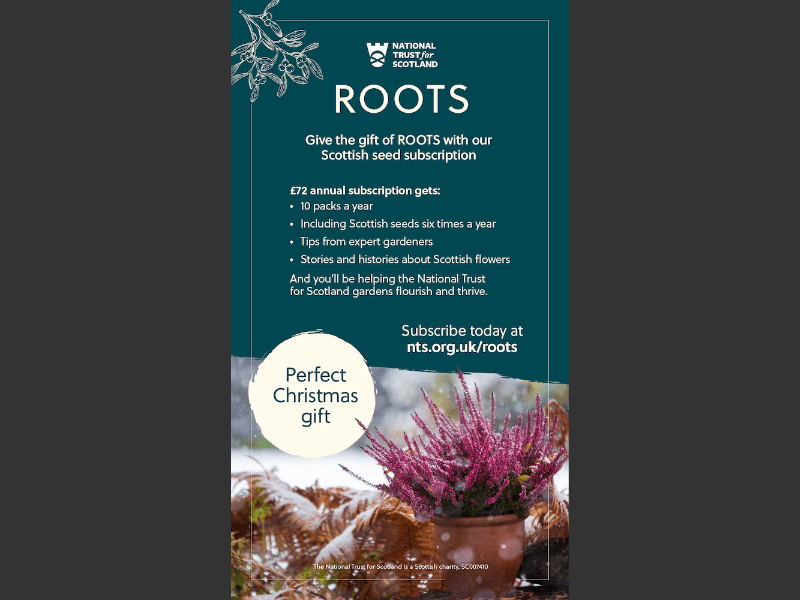 Issue 21NTS Roots