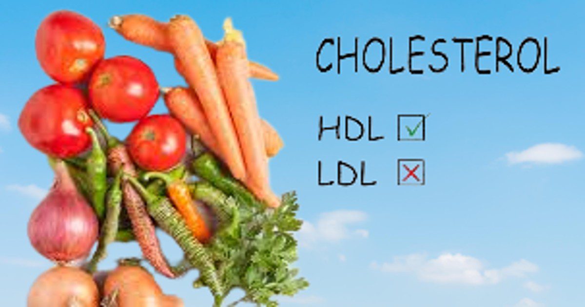 What is cholesterol in Human Body? Types, Symptoms, Warnings