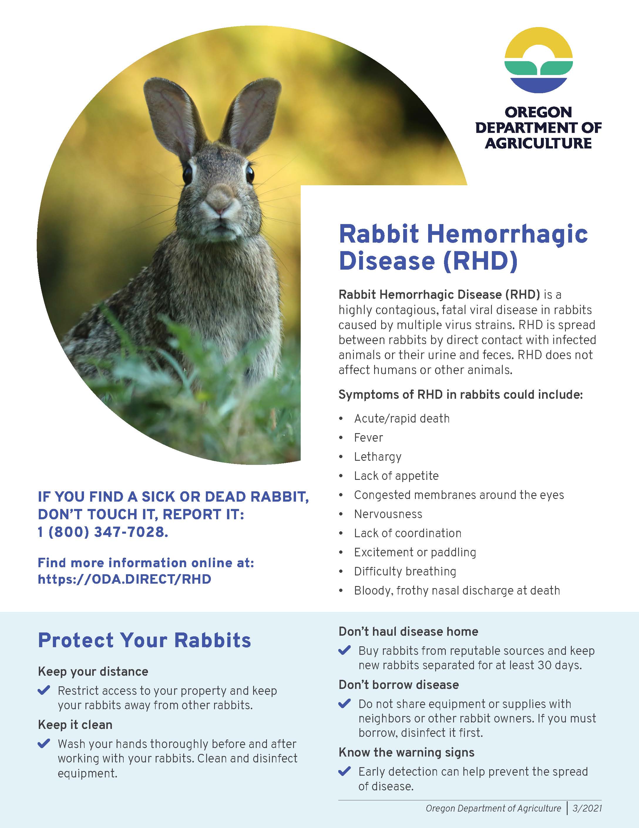 Viral diseases in rabbits eClips Extra
