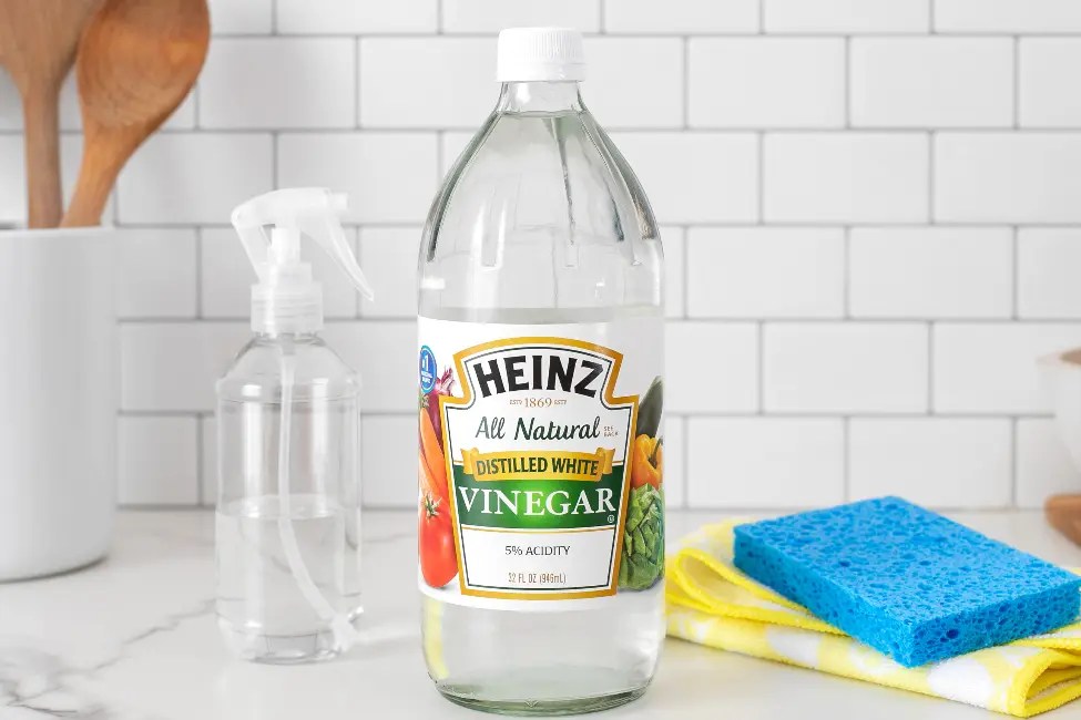 How to Dispose of Vinegar Read A Topic Today