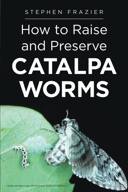 How to Raise and Preserve CATALPA Worms ReaderHouse
