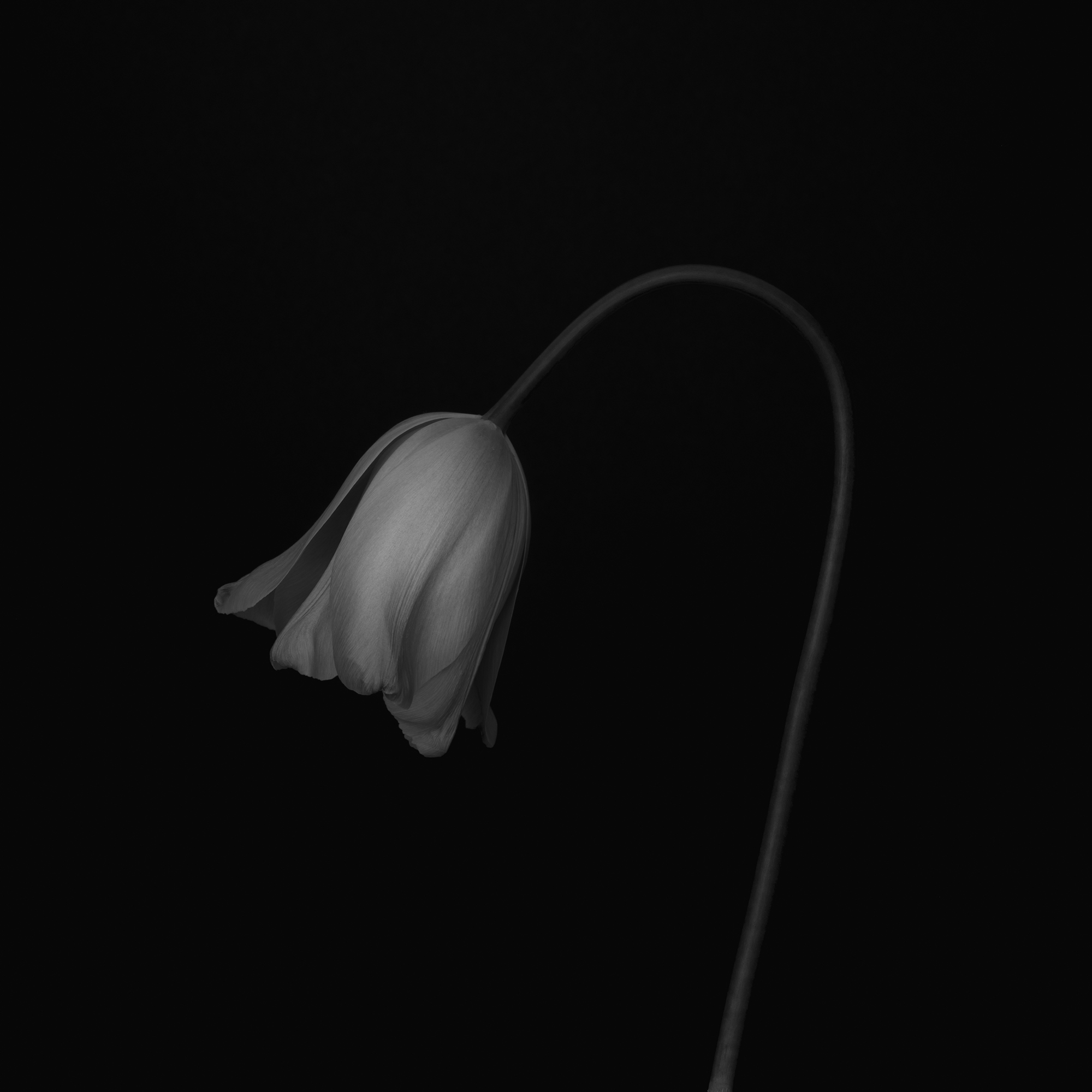 FRAMES ArtistinResidence Paul Sanders FRAMES Magazine