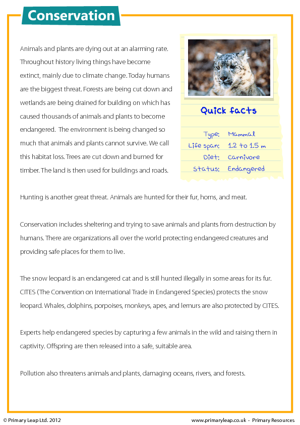 Living Environment Reading Comprehension Worksheets Reading Comprehension Worksheets