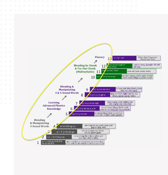 Stages of Reading Development: The Road to Fluency | Reading Simplified