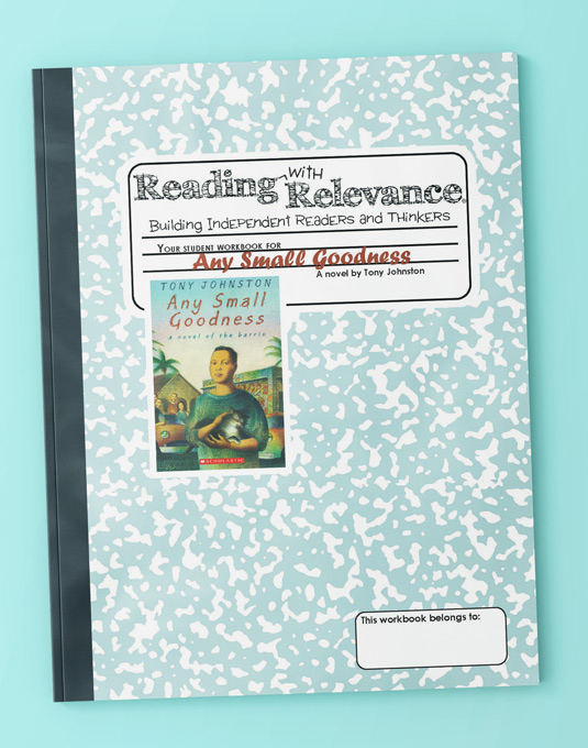 Any Small Goodness Set of 10 Workbooks Reading with Relevance