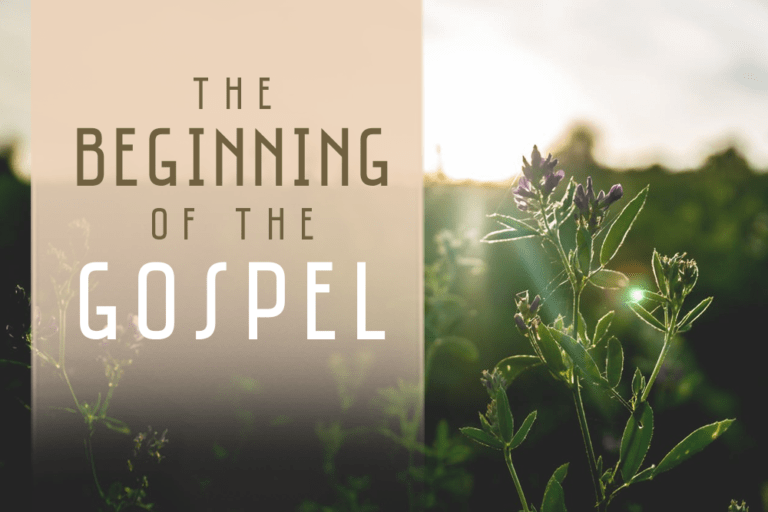 The Beginning of the Gospel Read John Pace