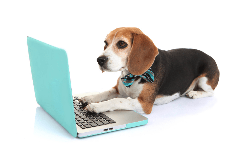 Readlyn Veterinary Associates Fullservice mixed animal clinic