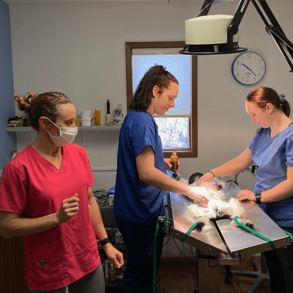 Clinic Gallery Readlyn Veterinary Associates