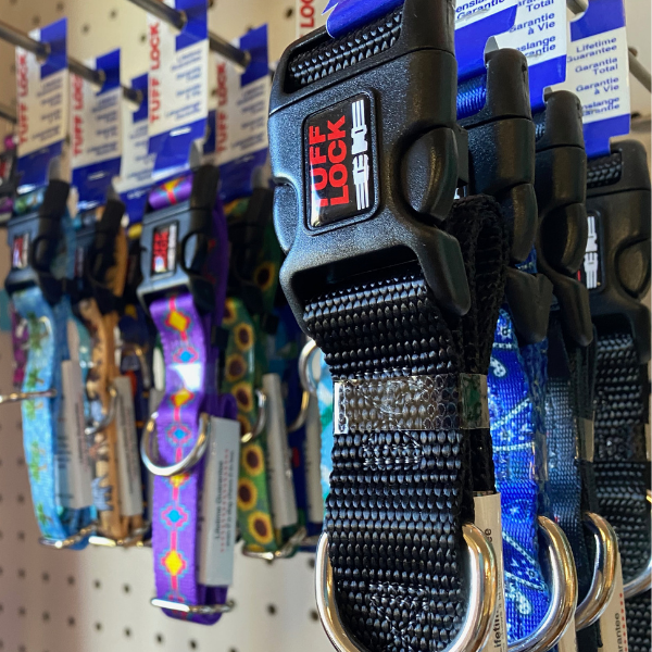 Clinic Gallery Readlyn Veterinary Associates