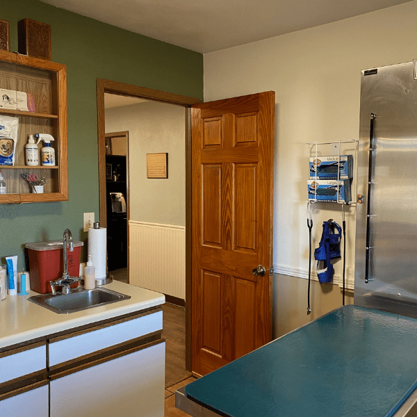 Clinic Gallery Readlyn Veterinary Associates