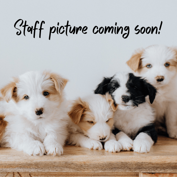 Our team Readlyn Veterinary Associates