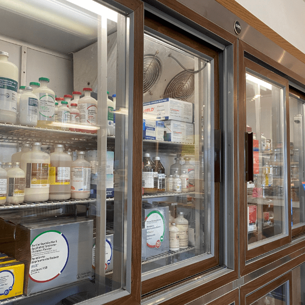 Clinic Gallery Readlyn Veterinary Associates