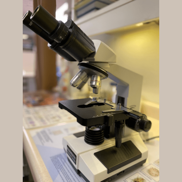 Clinic Gallery Readlyn Veterinary Associates