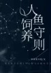 thumb_6344fa02611c2
