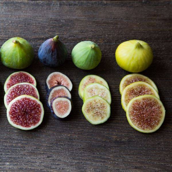 Figs क्या है? अंजीर खाने के 21 फायदे । About Figs in Hindi