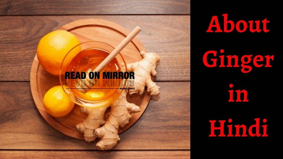 Adrak के 19 फायदे, नुकसान और उपयोग। About Ginger in Hindi